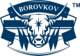 BOROVKOV PRNT, LTD