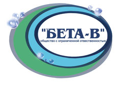 BETA-V, LTD