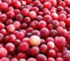  (Cranberries) Vaccinium oxycoccus