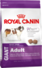   Royal Canin Giant Adult        18/24 