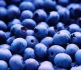  (Blueberries) Vaccinium uliginosum