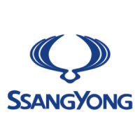  SsangYong