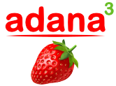 ADANA-3, LTD
