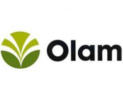 OLAM UKRAINE LLC