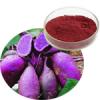 Purple sweet potato red pigment