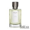 Annick Goutal   Duel 100