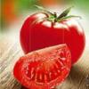 Паста томатная концентрированная ТМ «Гурман»