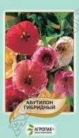  ,  (Abutilon hybridum Giant flowered mixture)